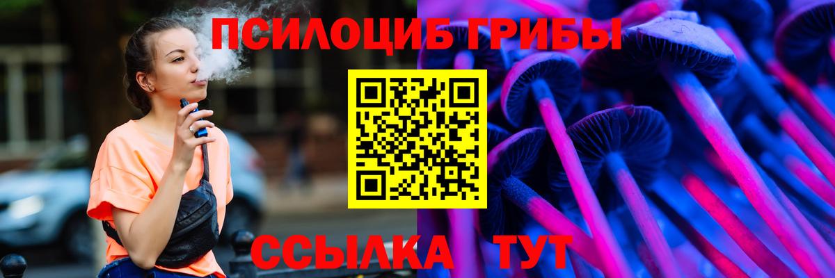Великие Луки  Псилоцибиновые грибы Psilocybine cubensis  Вход с VPN 